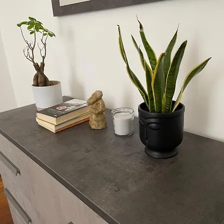 Casa Dei Visionari * Bari